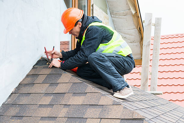 Best Roof Gutter Cleaning  in Cactus, TX